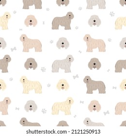 Komondor seamless pattern. Different poses, coat colors set.  Vector illustration