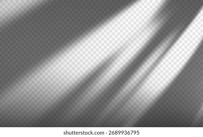 Komorebi Abstract sombra sobreposição efeito de luz de raio em um fundo transparente.