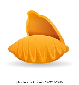 Konkiloni pasta icon. Cartoon of konkiloni pasta vector icon for web design isolated on white background