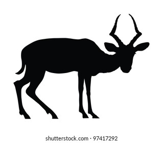 Koodoo Antelope Silhouette. Vector Eps8