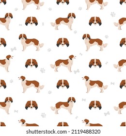 Kooikerhondje seamless pattern. Different poses, coat colors set.  Vector illustration
