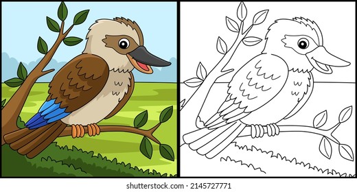 Kookaburra Animal Coloring Page Illustration