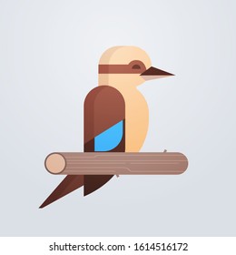 kookaburra bird icon cute cartoon wild animal symbol wildlife species fauna concept flat vector illustration