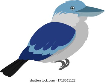 Kookaburra bird, illustration, vector on white background