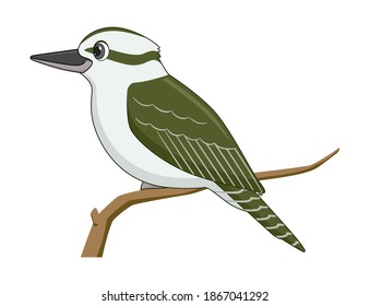 Kookaburra bird on a white background. Cartoon style vector illustration