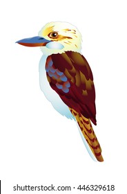 kookaburra color illustration