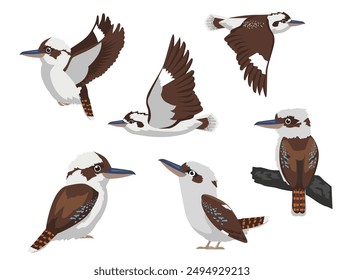 Kookaburra Laughing Bird Kingfisher Various Poses Sequence Cartoon Vector Character