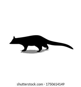 Logo de Kopi Luwak con fondo blanco