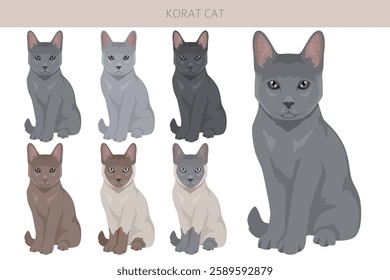 Korat Cat clipart. All coat colors set.  All cat breeds characteristics infographic. Vector illustration