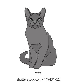 Korat, Isolated cat breed, Vector illustration