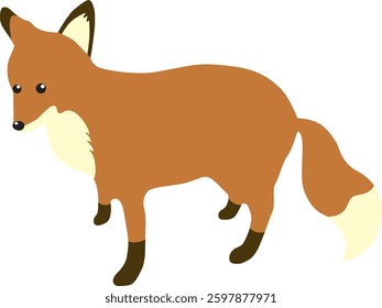 korea red wild fox illustration 