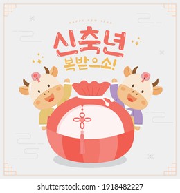 Korea tradition Vector illustration. Translation of Korean Text: Seollal, Korean New Year's Day, Hangul calligraphy