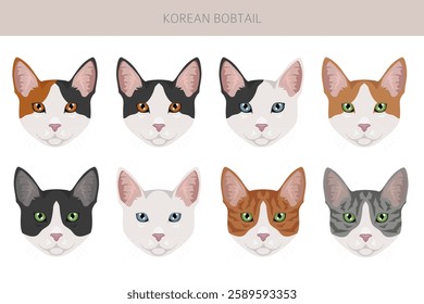 Korean Bobtail Cat clipart. All coat colors set.  All cat breeds characteristics infographic. Vector illustration