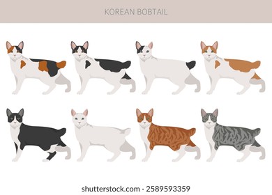 Korean Bobtail Cat clipart. All coat colors set.  All cat breeds characteristics infographic. Vector illustration