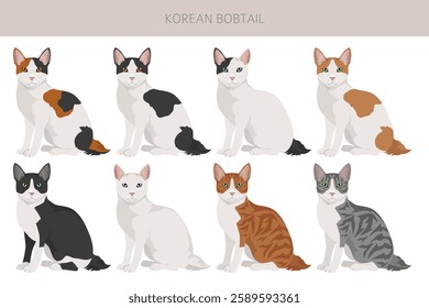 Korean Bobtail Cat clipart. All coat colors set.  All cat breeds characteristics infographic. Vector illustration