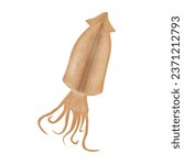 Korean Dried Salted Squid Illustration Logo