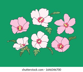 Korean Flower Rose Sharon  collection  hand drawn style vector design illustrations  