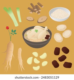 Comida coreana Samgyetang 
(Sopa de pollo) ingredientes ilustración