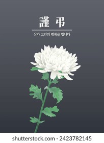 Korean Funeral Mourning Chrysanthemum Flower, Korean Translation:Pray for the bliss of dead