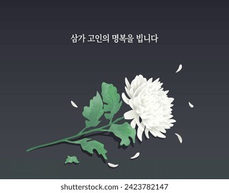 Korean Funeral Mourning Chrysanthemum Flower, Korean Translation:Pray for the bliss of dead