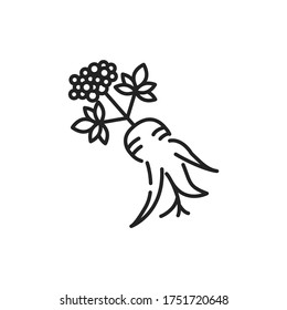 Korean ginseng flower and root line black icon. Alternative medicine from asia. Sign for web page, mobile app, button, logo. Editable stroke.