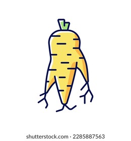 Korean ginseng root RGB color icon. Product for vitality and energy. Chinese medicinal plant. Herb for nourishment. Korean culture. Traditional symbols of Korea. Isolated vector illustration