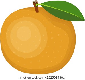 Korean Gold Pear Fruit Illustration Isolated on White Background