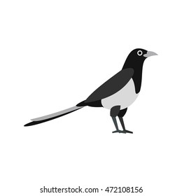 Korean magpie icon. Flat illustration of korean magpie vector icon isolated on a white background