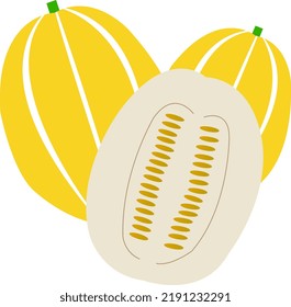 Korean melon isolated in white background. vector illustration