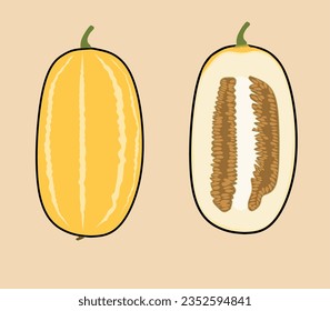 Koreanische Melone. Dies ist eine Gruppe von Cucumis melo Kultivars, die in Ostasien angebaut wird. Vektorgrafik-Set.