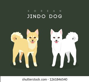 Korean native dog, Jindo dog illustration. Yellow dog and white dog.