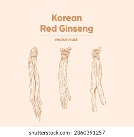 korean red ginseng hand drawn vector vintage style medicine set 