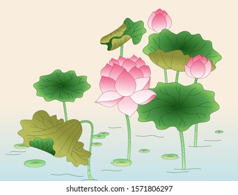 Korean traditional concept vector illustration. Lotus.