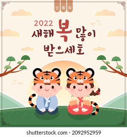 Korean traditional holiday Seollal, Year of the Tiger commemorative banner illustration. Korean translation: 2022 Happy New Year. Chinese translation: Year of the Tiger