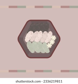 Korean traditional sweets Yugwa rice crackers vector illustration