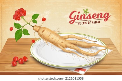 Korean wild ginseng with berries vector illustration on brown background