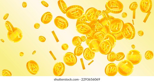 Korean won coins falling. Scattered gold WON coins. Korea money. Jackpot wealth or success concept. Wide vector illustration.