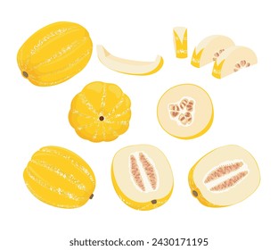 Korean yellow melon or chamoe Cucumis melo var makuwa set