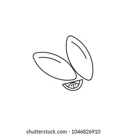 Koupes icon. Outline koupes vector icon for web design isolated on white background