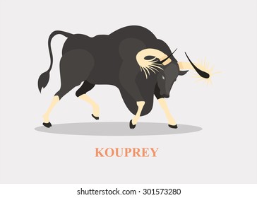 Kouprey on grey background.
