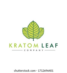 Kratom Leaf For Nature Herbal Medicine Logo Design Vector Image