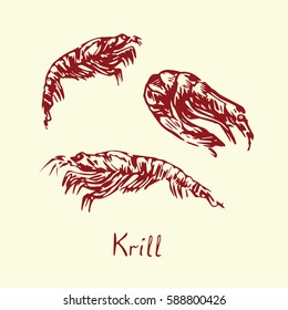 Krill, with inscription, hand drawn doodle, sketch in pop art style, isolated vector illustration