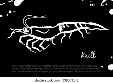 Krill. Vector isolated illustration. Ink. Hand drawn