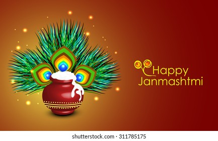 Krishna janmashtmi