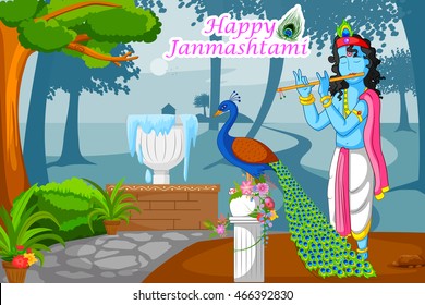 Krishna playing flute with peacock on Janmashtami background in vector