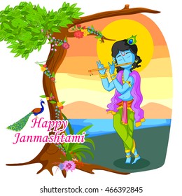 Krishna playing flute with peacock on Janmashtami background in vector
