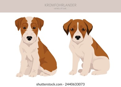 Kromfohrlander puppy clipart. Different poses, coat colors set.  Vector illustration