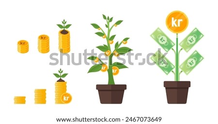 Krona or Krone Money Tree Growing
