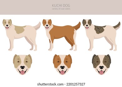 Kuchi Hund Clipart Kunst. Verschiedene Farben für den Mantel.  Vektorgrafik