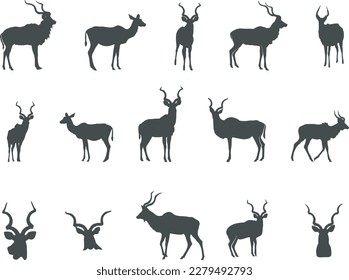 Kudu Silhouette, Kudu Horn Silhouette, Antlers Silhouette, Kudu Head, Kudu SVG, Head Silhouettes
 svg
